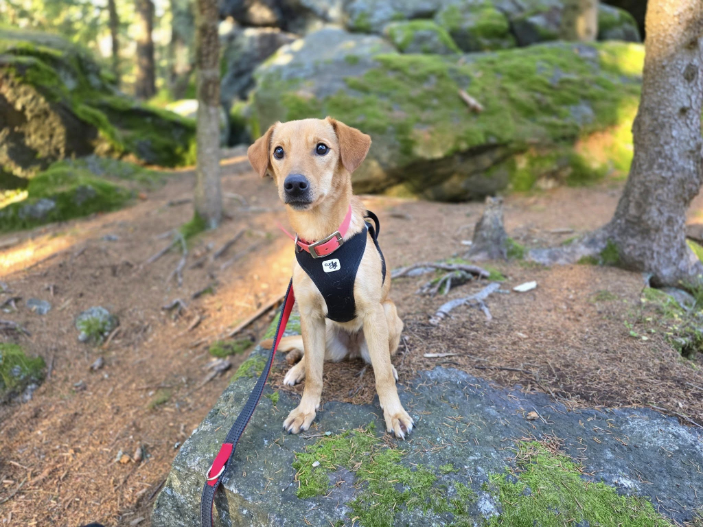 577837930_2888921914631143_7996642889655464055_n