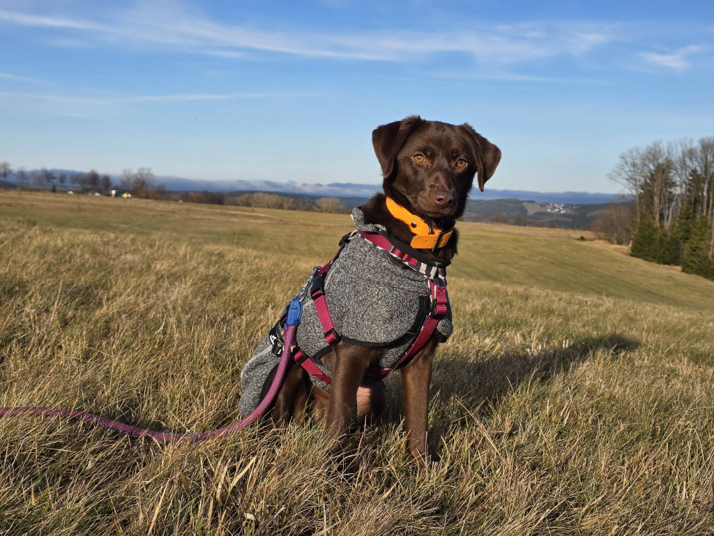 610672105_2942990579224276_9116871600271613126_n