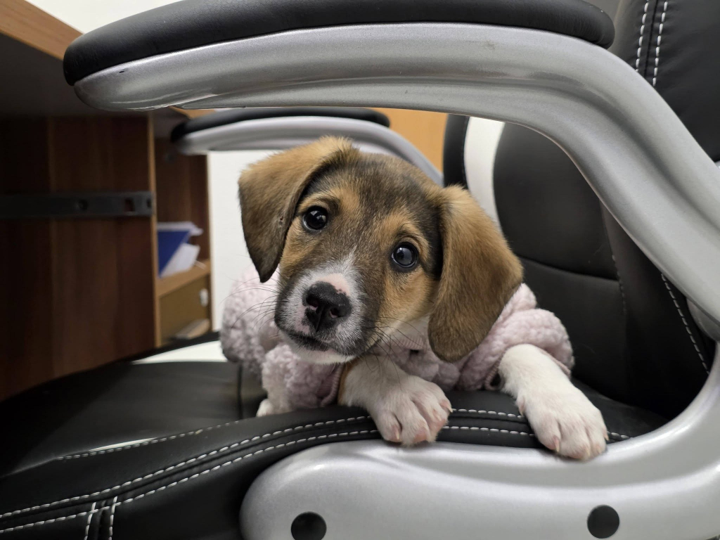 635142756_2982922198564447_558009367017889952_n