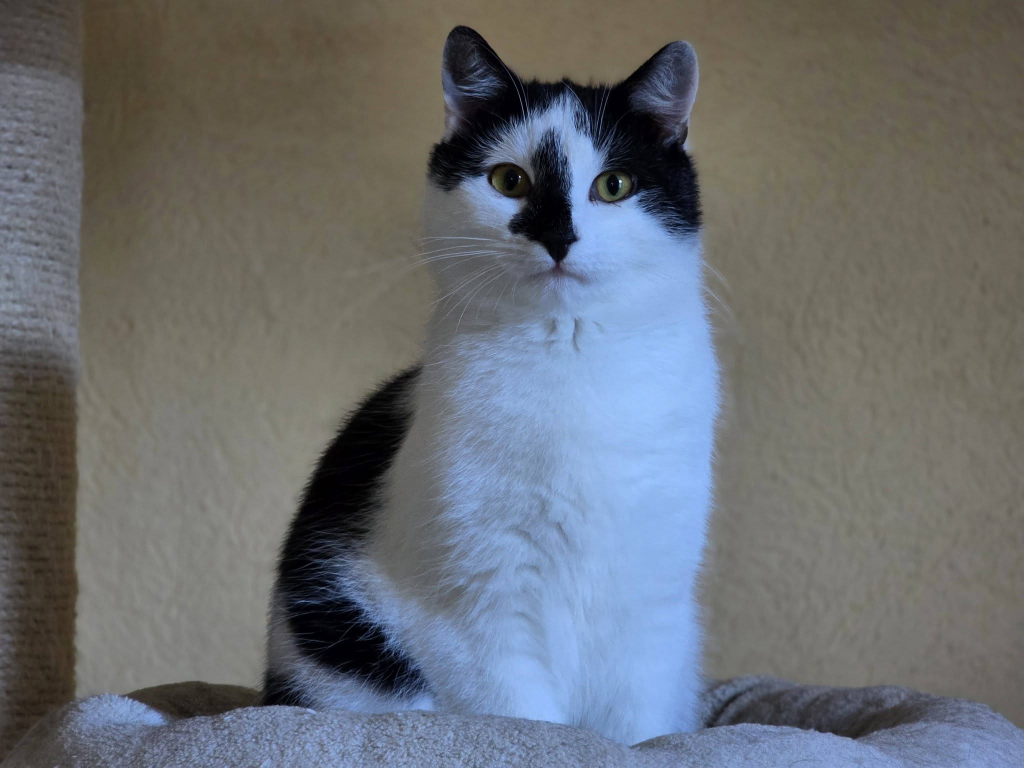 651778244_3013264205530246_7761719578438076198_n