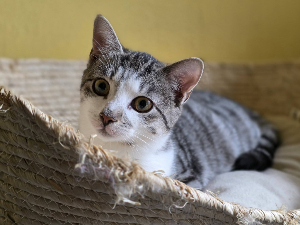 653382368_3013273102196023_410199943578938019_n