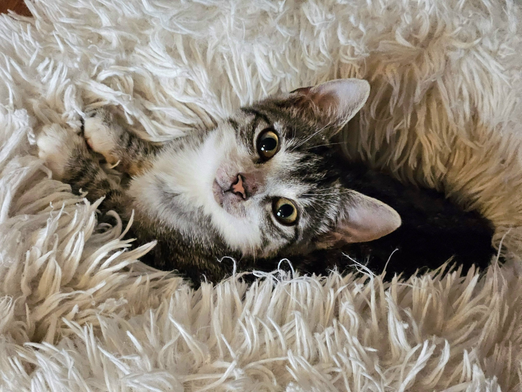 653472635_3013274242195909_8357452621968277187_n