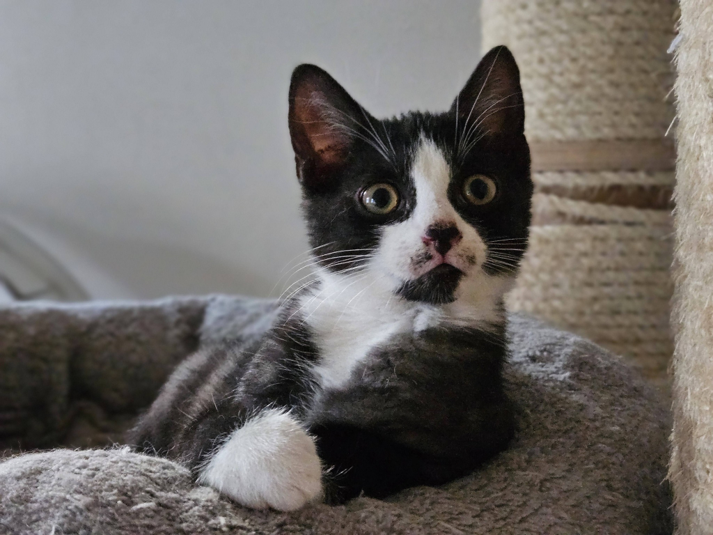 653715672_3013275165529150_2579221167891816473_n